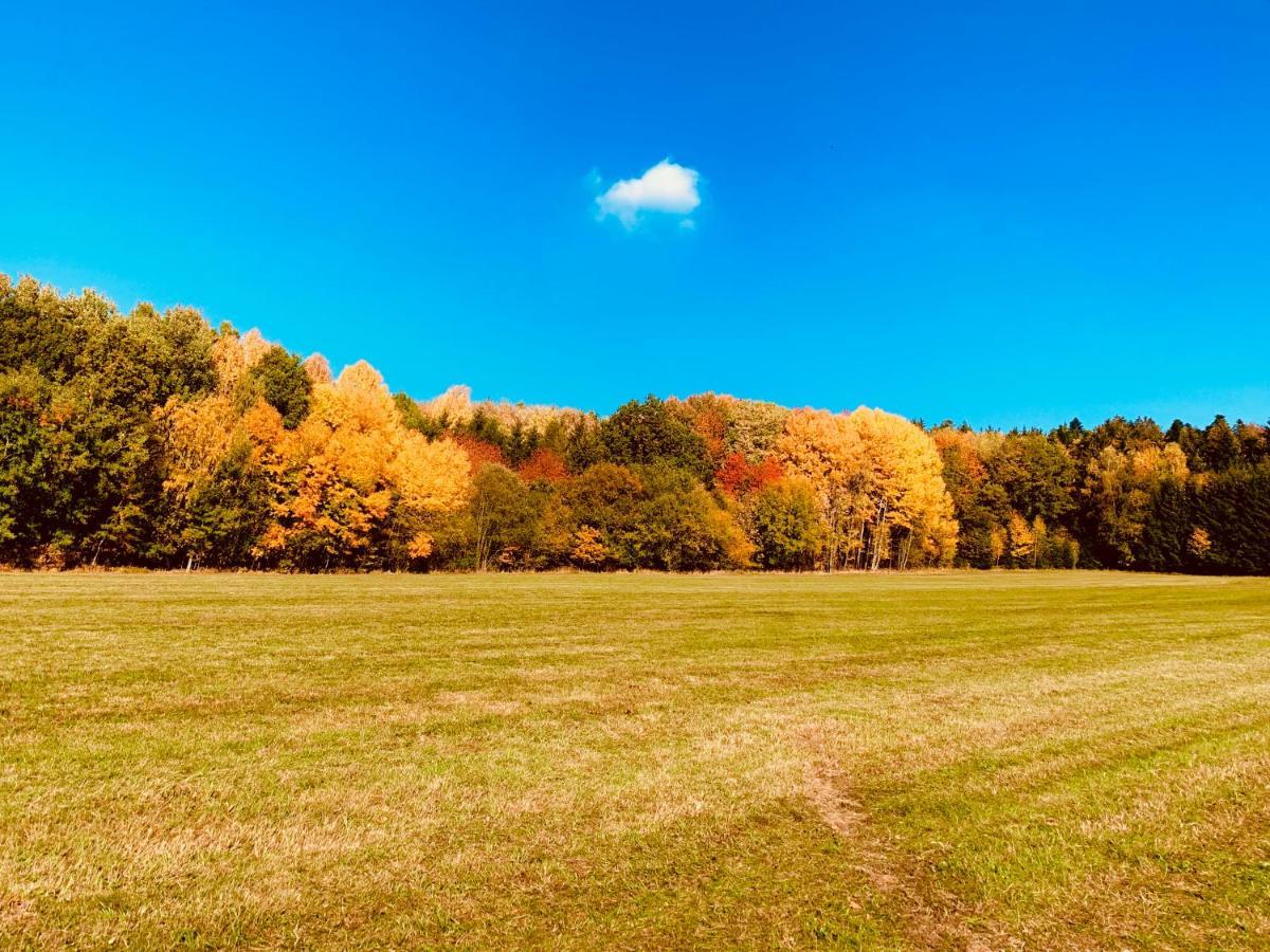 Bayerischer Wald - Balbersdorf Waffenbrunn 외부 사진